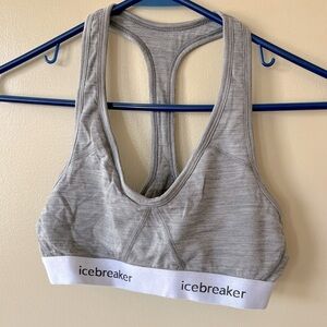 Icebreaker sports bra